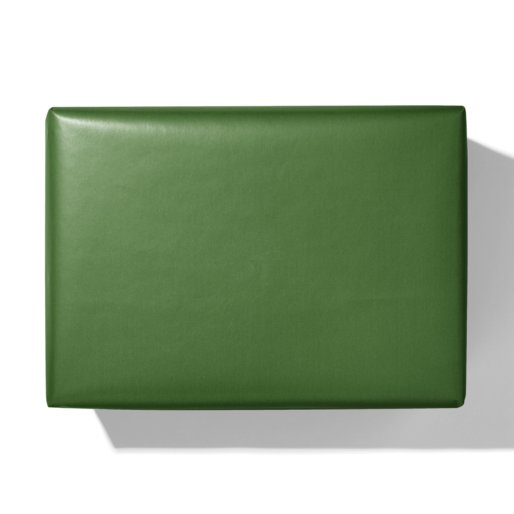 Green Believable Gift Wrapping Paper