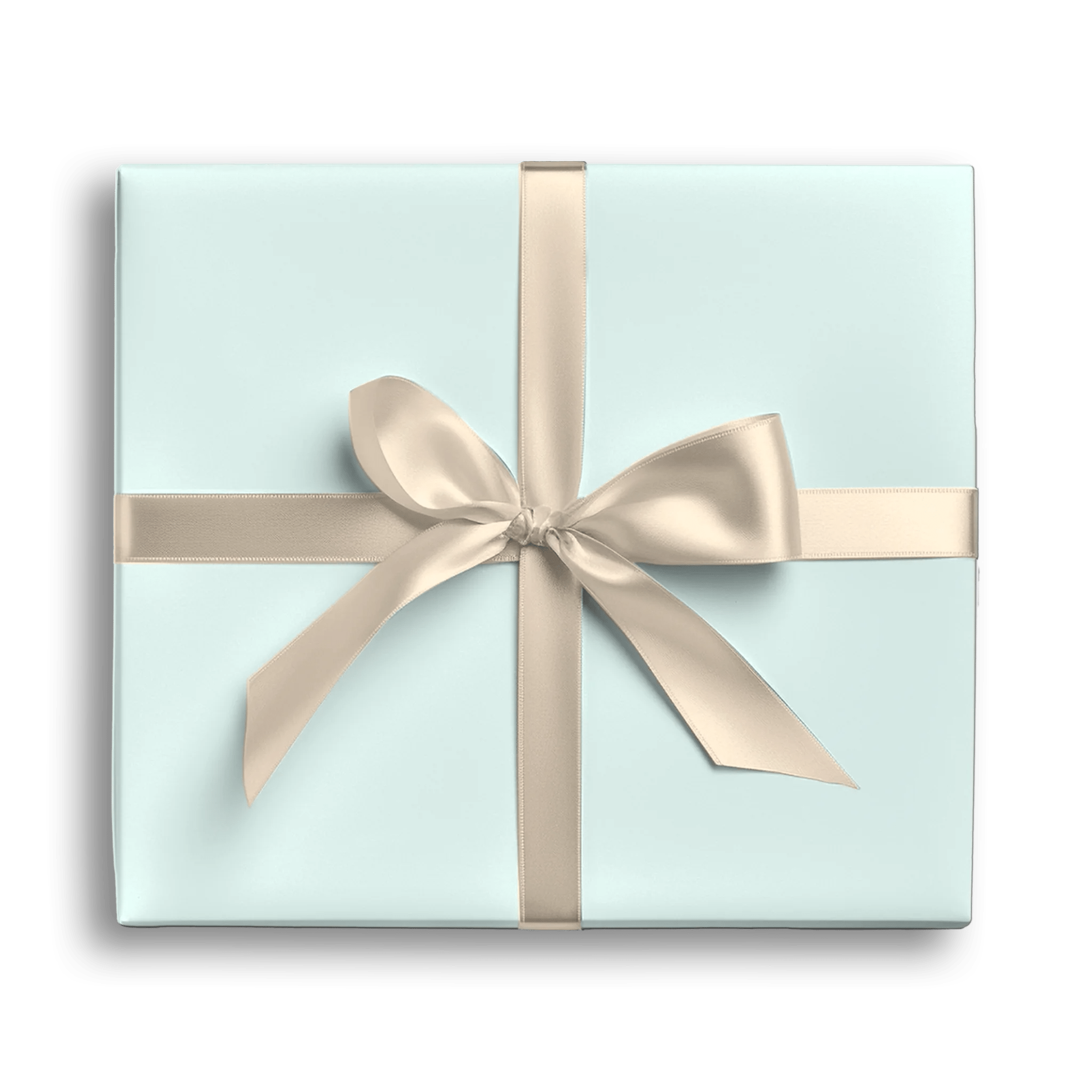 Blank Check-In Gift Wrapping Paper